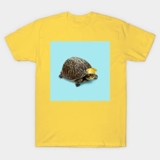 Turtle with nice cup hat T-Shirt